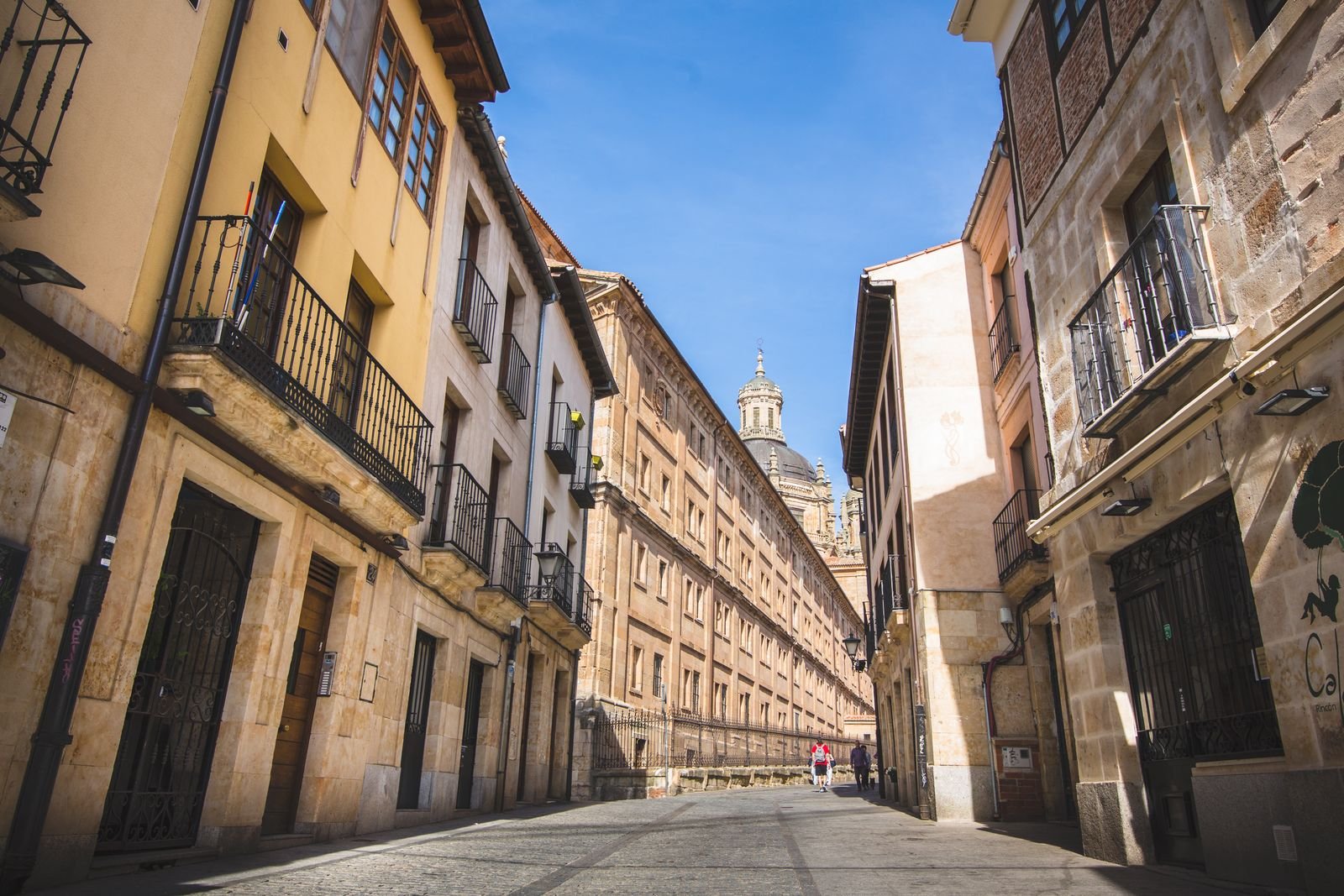 Calle histórica de Salamanca junto al apartamento - Apartamento Rector Cobos